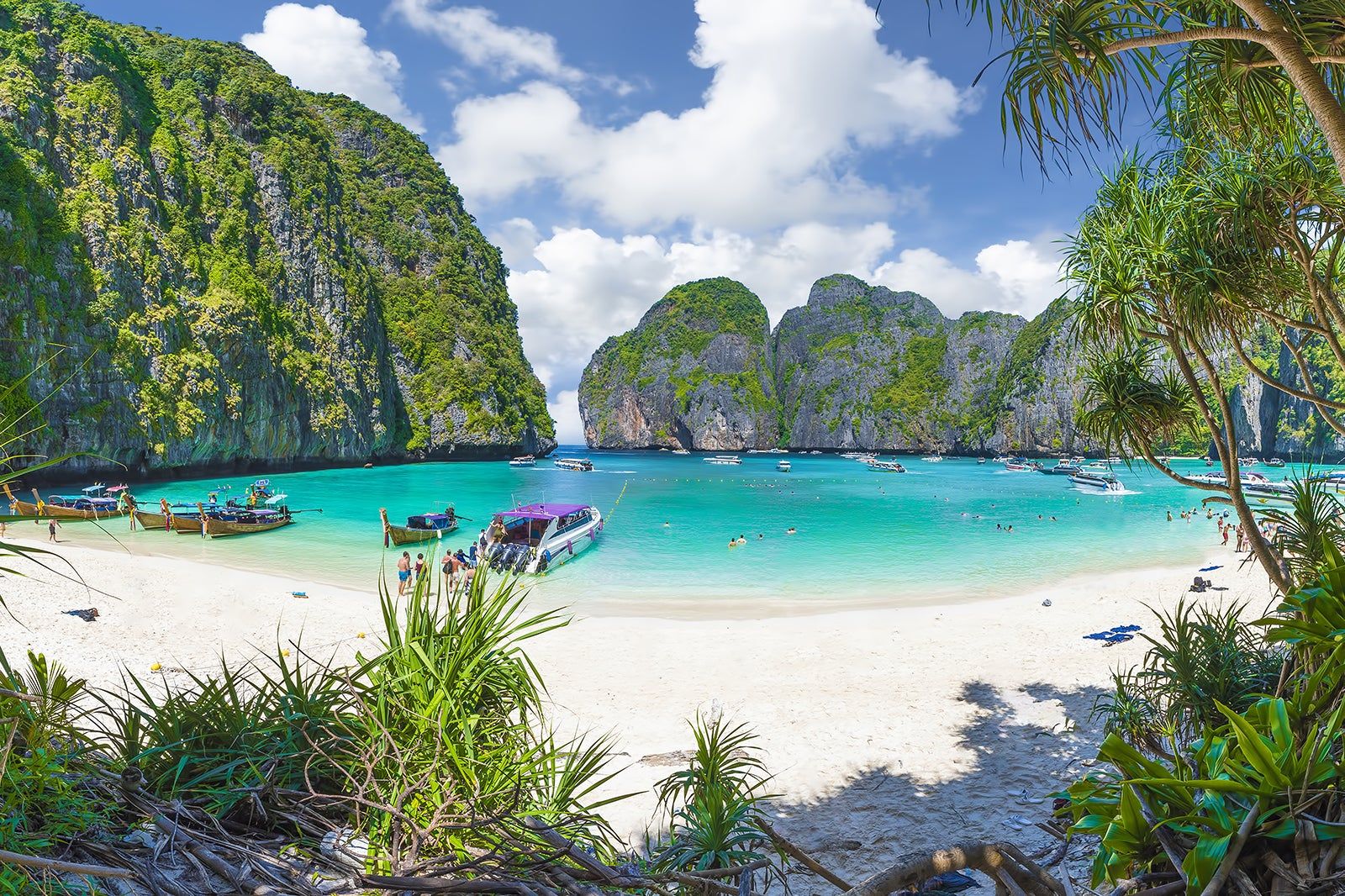 Catamaran Charter Phi Phi Islands, Maya Bay & Surrounding Lagoons